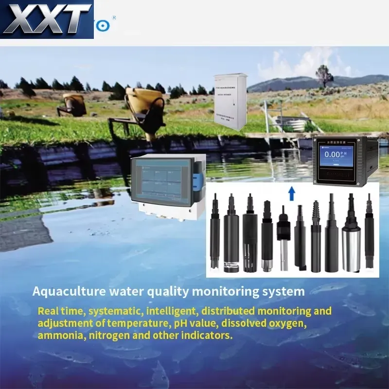 เครื่องวัดคุณภาพน้ำดิจิทัล XXT - Ph Meter Digital Water Tester บทวิจารณ์และราคา